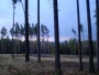 Nikola Vaňková - diagonály
