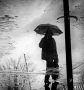Černobílý svět - dažďom