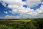 Nížinou
