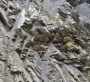 Tereza  Křiváčková - Vrásčitá Šumava