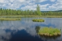 Lubomír Hojgr - Šumava