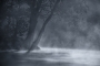 Robert Adamec - Ráno na Laguně