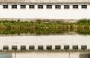 35 mm