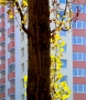 Sídlišťní architektura