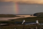 The Shetlands