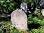 Židovský hřbitov 