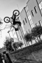 bmx