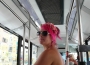 V autobuse