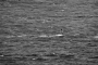 Jiří Darida - alone at sea