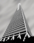 Jiří Darida - Transamerica Pyramid