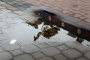 Kladno II