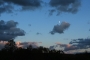 Iva Břízová - Letní noc