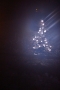 Iva Břízová - Adventní ráno