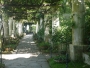 Zuzana Trojanová - Krásy Capri- Villa San Michelle