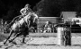 Barrel racing