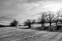 Pod pokličkou