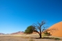 Namib