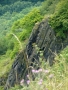 Varhany