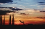 Tomáš Trenčanský  - Dog sunset