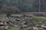 Angkor Wat