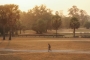 Osamelý Angkor Wat