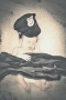 Newborn Police