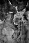 Martina  Chmelová -Dvojice