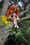 Soňa Wolfschützová - Fairy