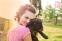 Lamb