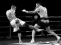Sport a pohyb - KICK-BOX