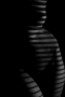 Tereza  Tupá - Zebra