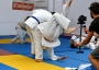 Šárka Nováková - ...