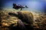 Petr Kleiner -Freediving II.