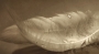 peříčka