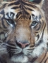 Zoo Praha