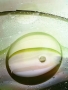 Bublinografie 3