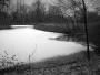 Sněhový poprašek