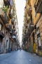Miriama Belohorcová - Calle
