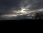 Shadow tree