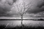 Vladimír Tuček - Solitér