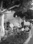 Siesta v Orebiči