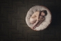 Tomáš Paule - Sleeping beauty