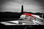 Extra 300