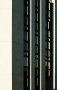 Linie