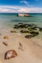 Grenen