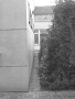 Mezírka