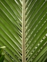 Symetrie