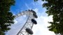London EyE