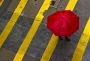Umbrella