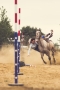 Western show #2